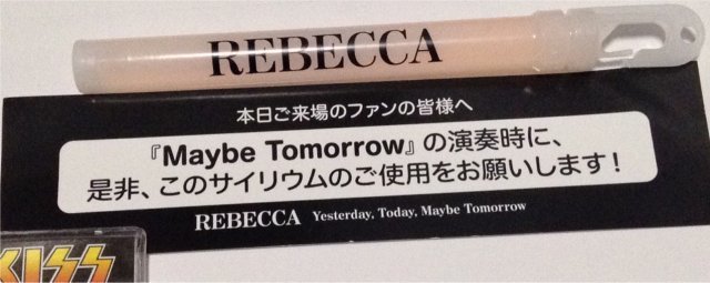 Rebecca レベッカ 15年8月13日 Yesterday Today Maybe Tomorrow 横浜アリーナ ライブ参戦の記録 Yuki Kiss L Arc En Ciel ラルクアンシエル X Japan 等